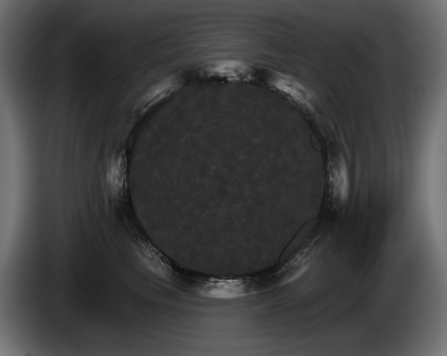 X0000084520665200703021357