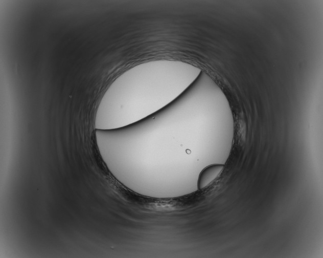 X0000084520668200703021357