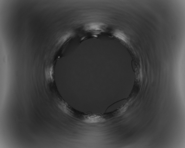 X0000084520669200703021357