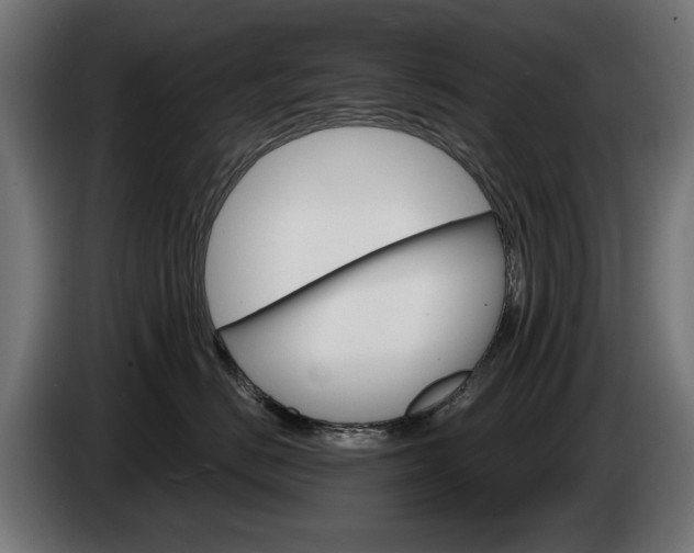 X0000084520670200703021357