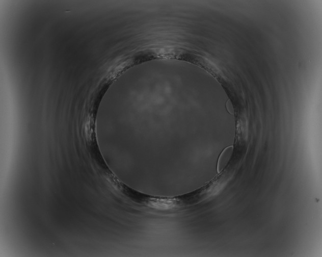 X0000084520671200703021357