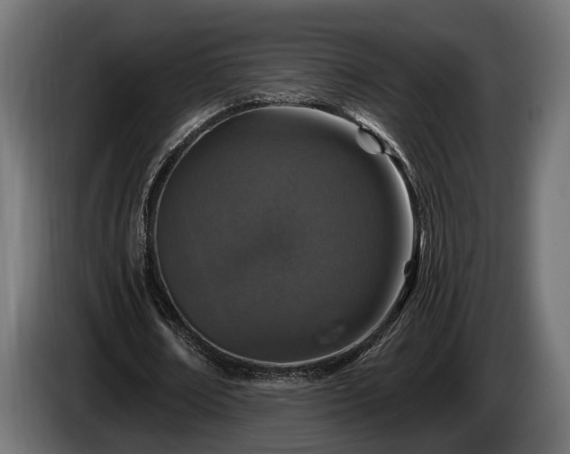 X0000084520674200703021356