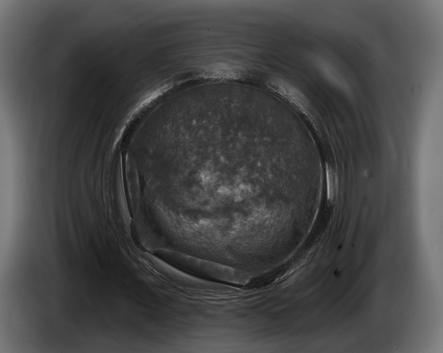 X0000084520675200703021356