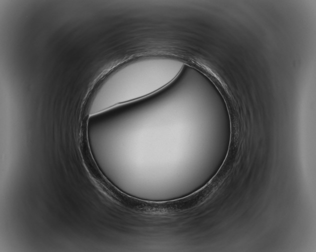 X0000084520677200703021356