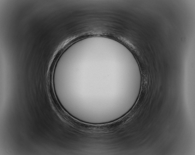 X0000084520678200703021356