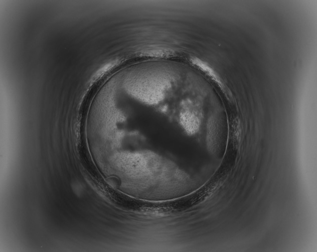 X0000084520679200703021356