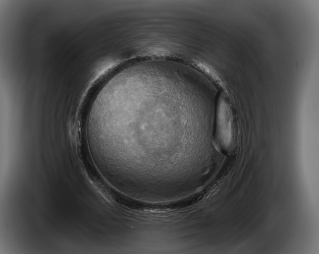 X0000084520680200703021356