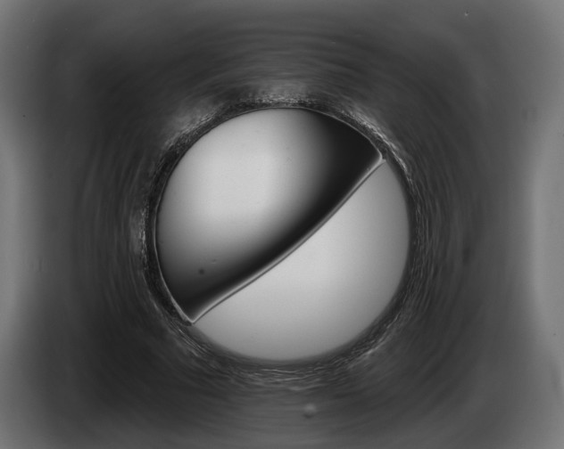 X0000084520681200703021356