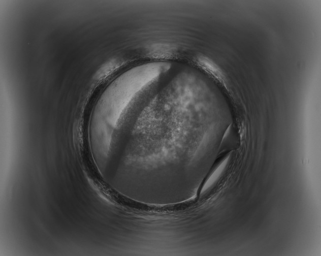 X0000084520682200703021356