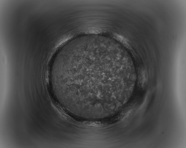 X0000084520683200703021356