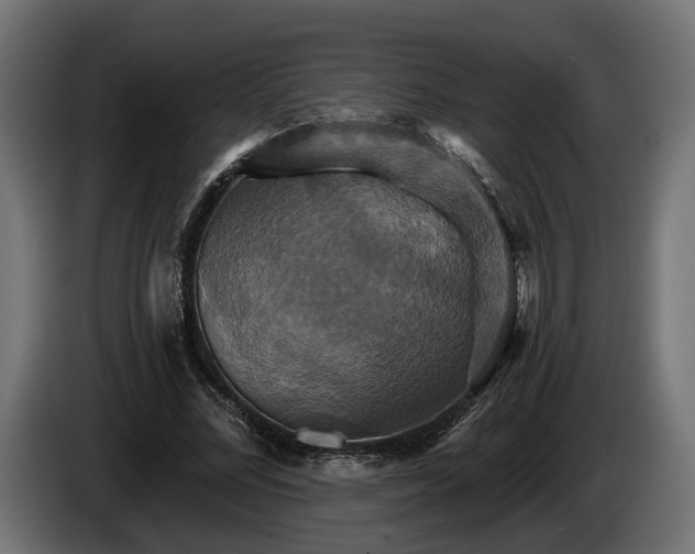 X0000084520684200703021356