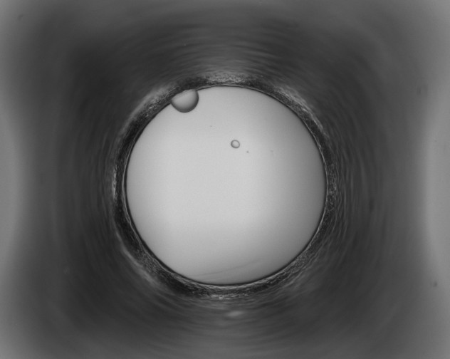 X0000084520686200703021356