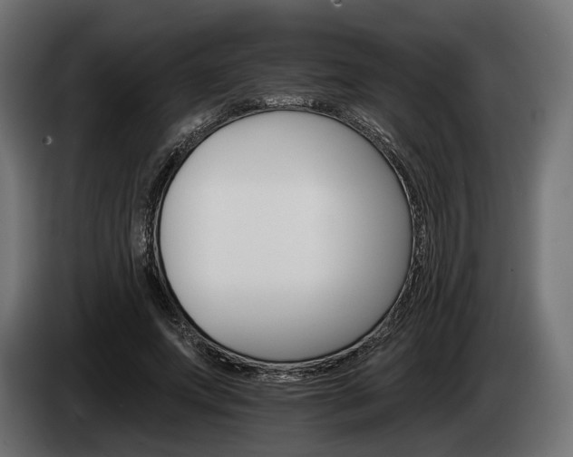 X0000084520687200703021356