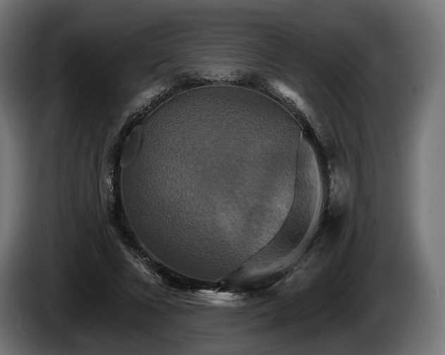 X0000084520688200703021356