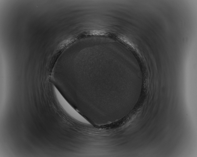 X0000084520689200703021356