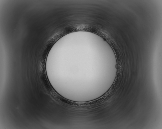 X0000084520691200703021356