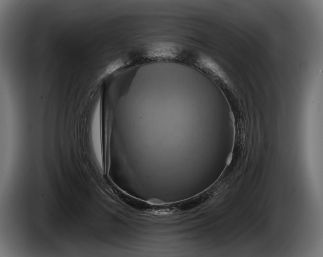 X0000084520692200703021356