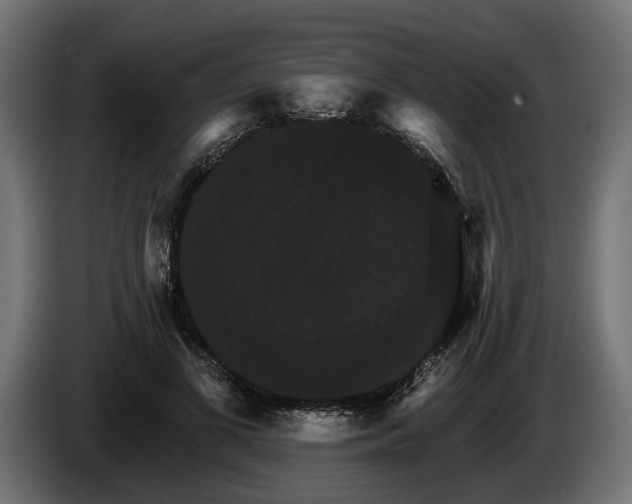 X0000084520693200703021356