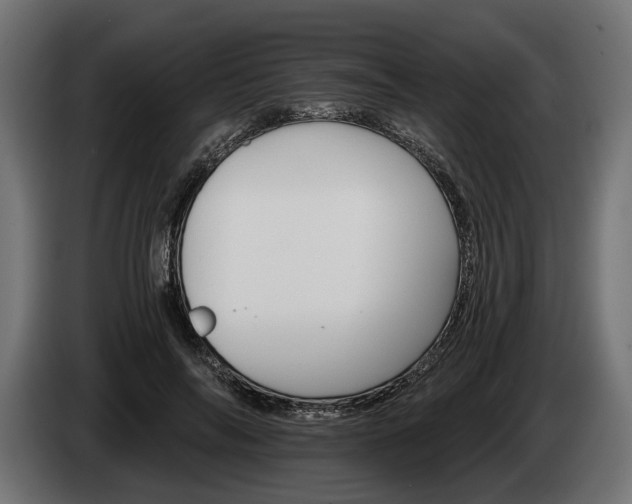 X0000084520694200703021356