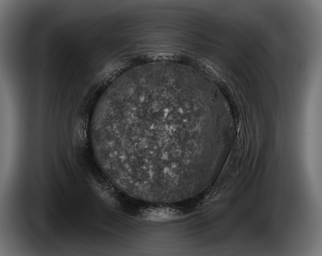 X0000084520695200703021356