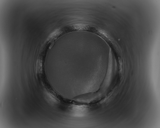 X0000084520696200703021356