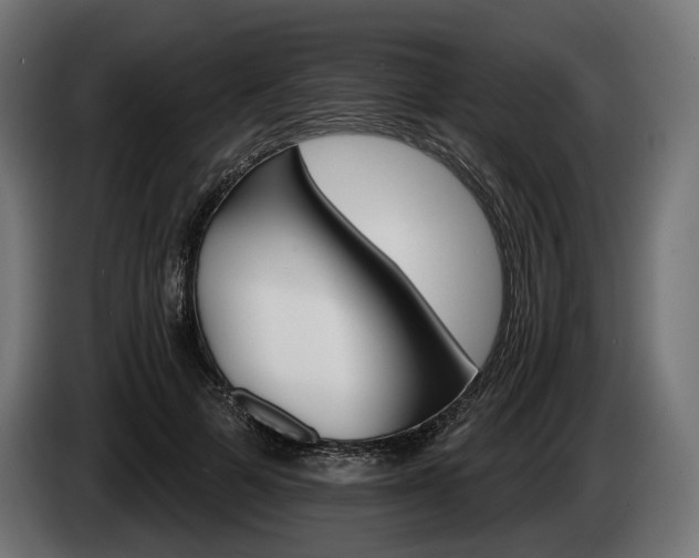 X0000084520697200703021356