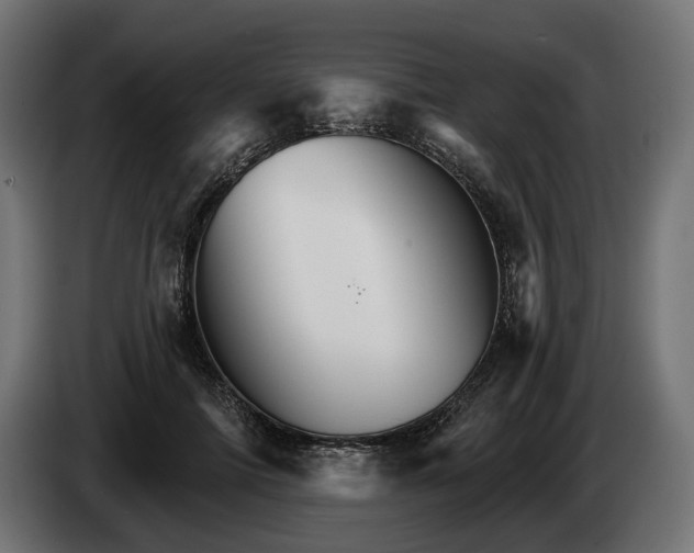 X0000084520698200703021356