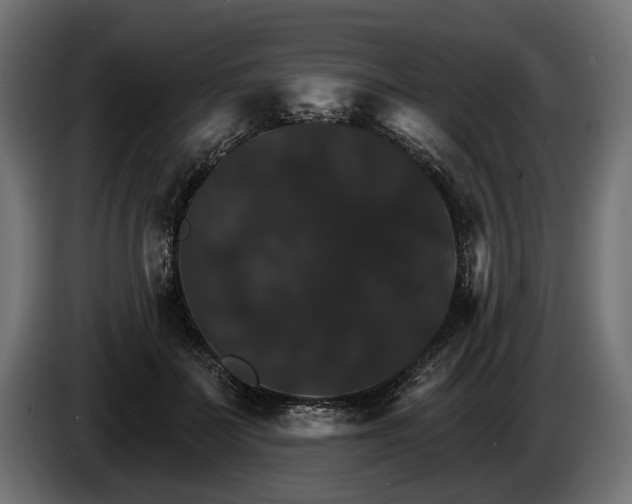 X0000084520699200703021356