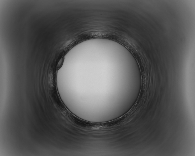 X0000084520700200703021356