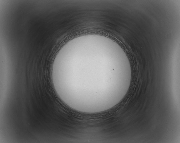 X0000084520701200703021356