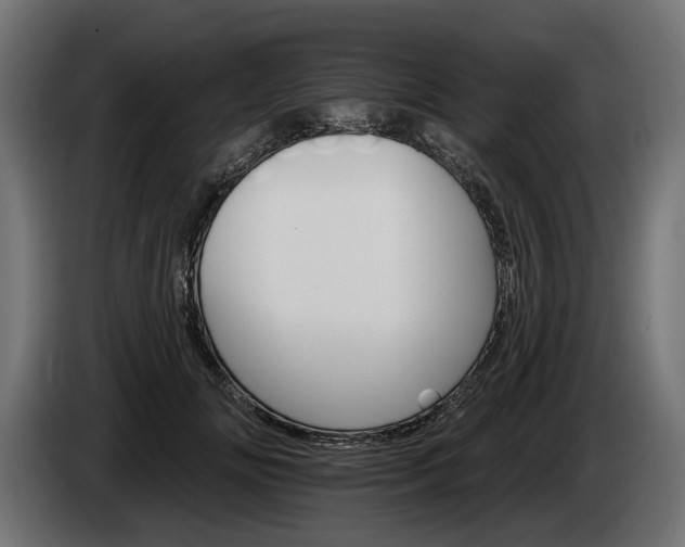 X0000084520702200703021356