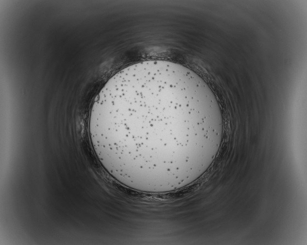 X0000084520703200703021356