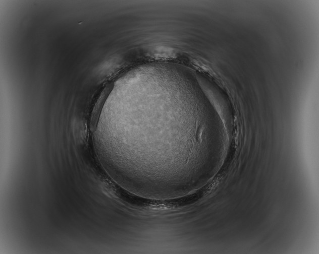 X0000084520704200703021356