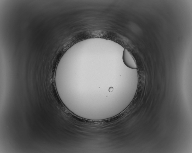 X0000084520707200703021356