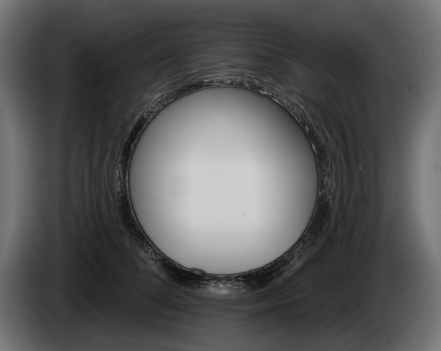 X0000084520708200703021356