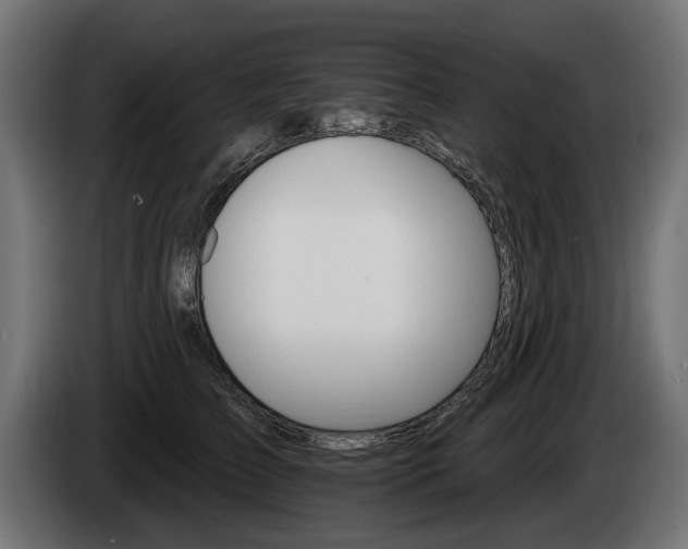 X0000084520709200703021356