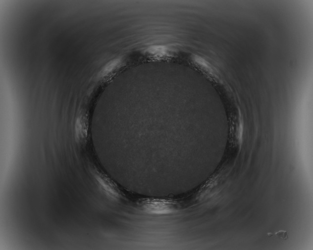 X0000084520710200703021356