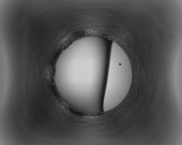 X0000084520712200703021355