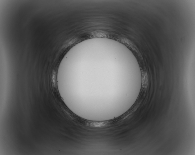 X0000084520717200703021355