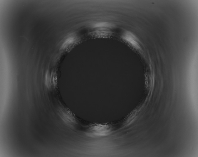 X0000084520718200703021355