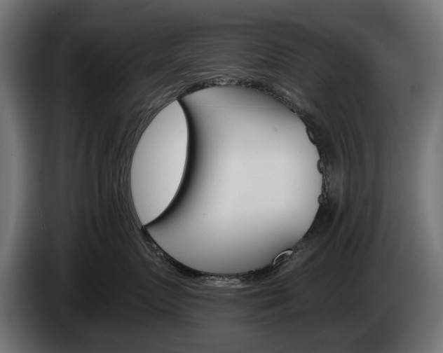 X0000084520719200703021355