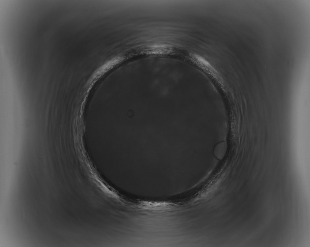 X0000084520721200703021355