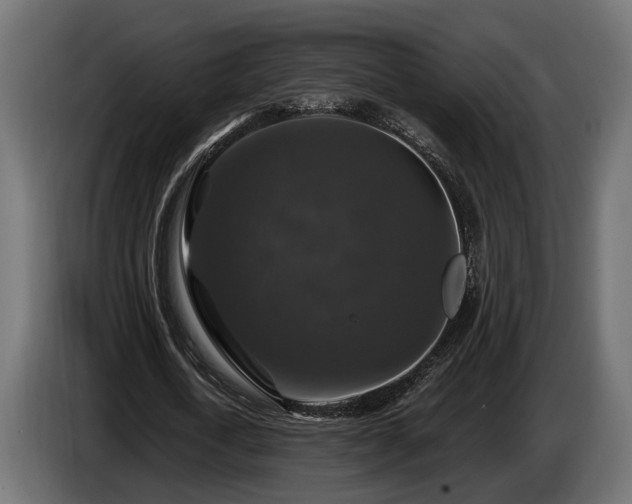 X0000084520722200703021355