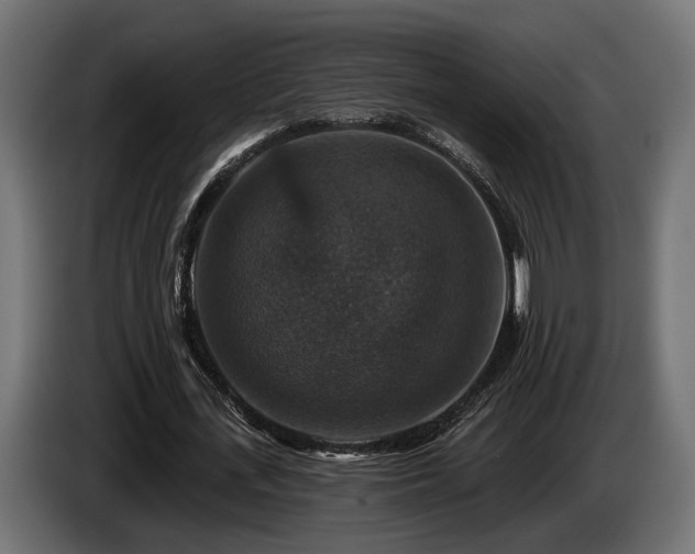 X0000084520723200703021355