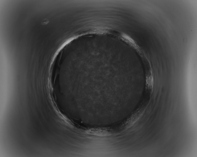 X0000084520724200703021355