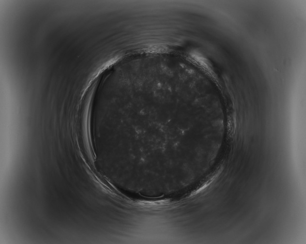 X0000084520725200703021355