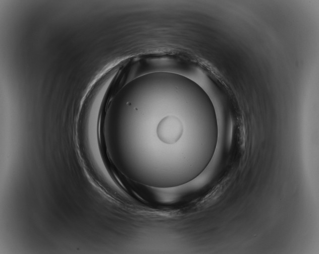 X0000084520726200703021355