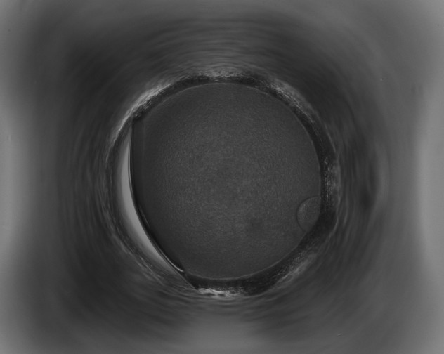 X0000084520727200703021355