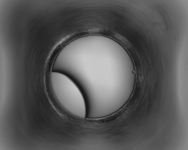 X0000084520728200703021355