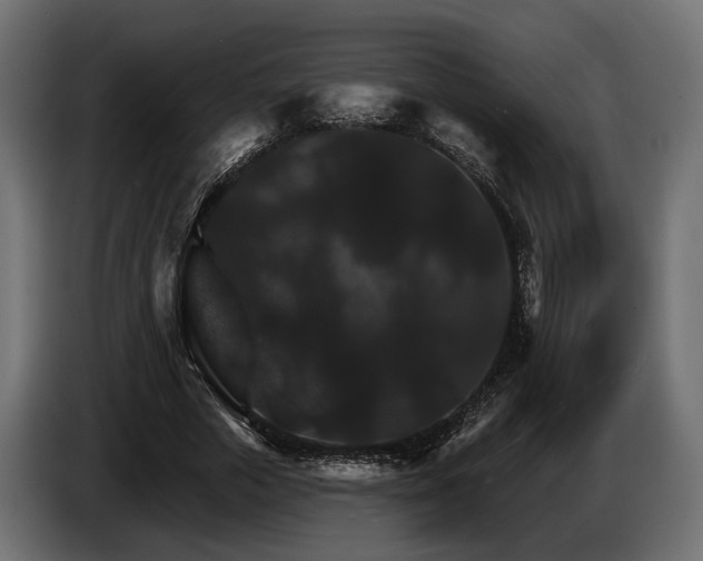 X0000084520729200703021355